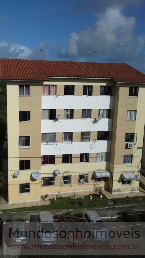 Apartamento - Mata escura