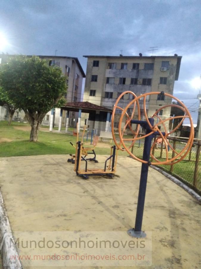 Apartamento - Mata escura