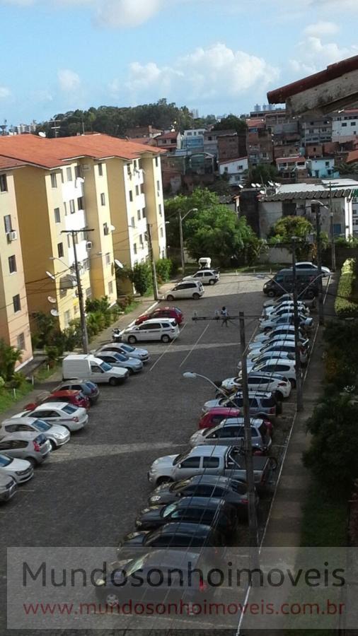 Apartamento - Mata escura
