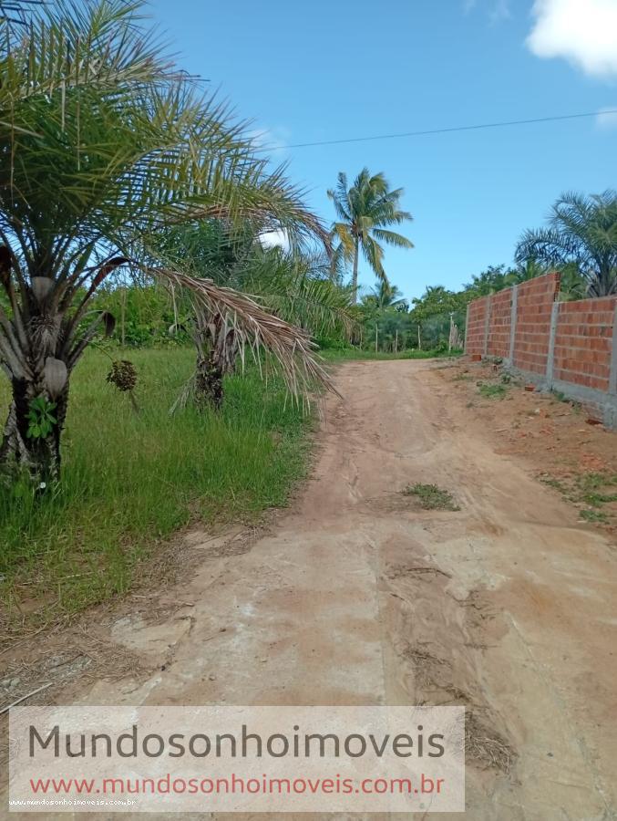 Terreno - Jauá (abrantes)