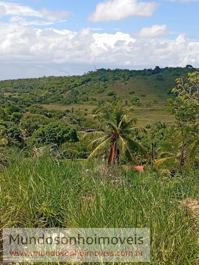 Terreno - Jauá (abrantes)