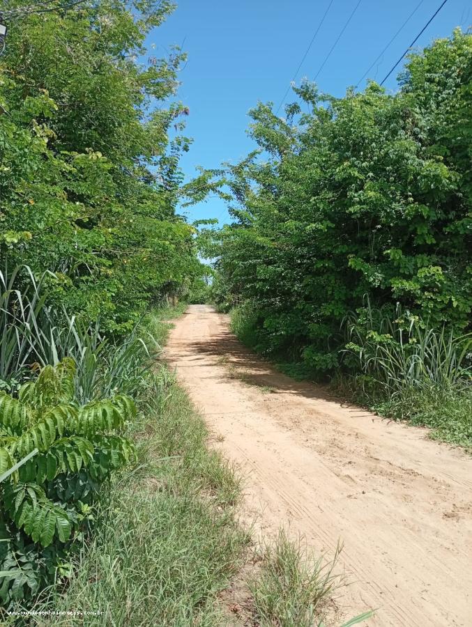 Terreno - Jauá (abrantes)