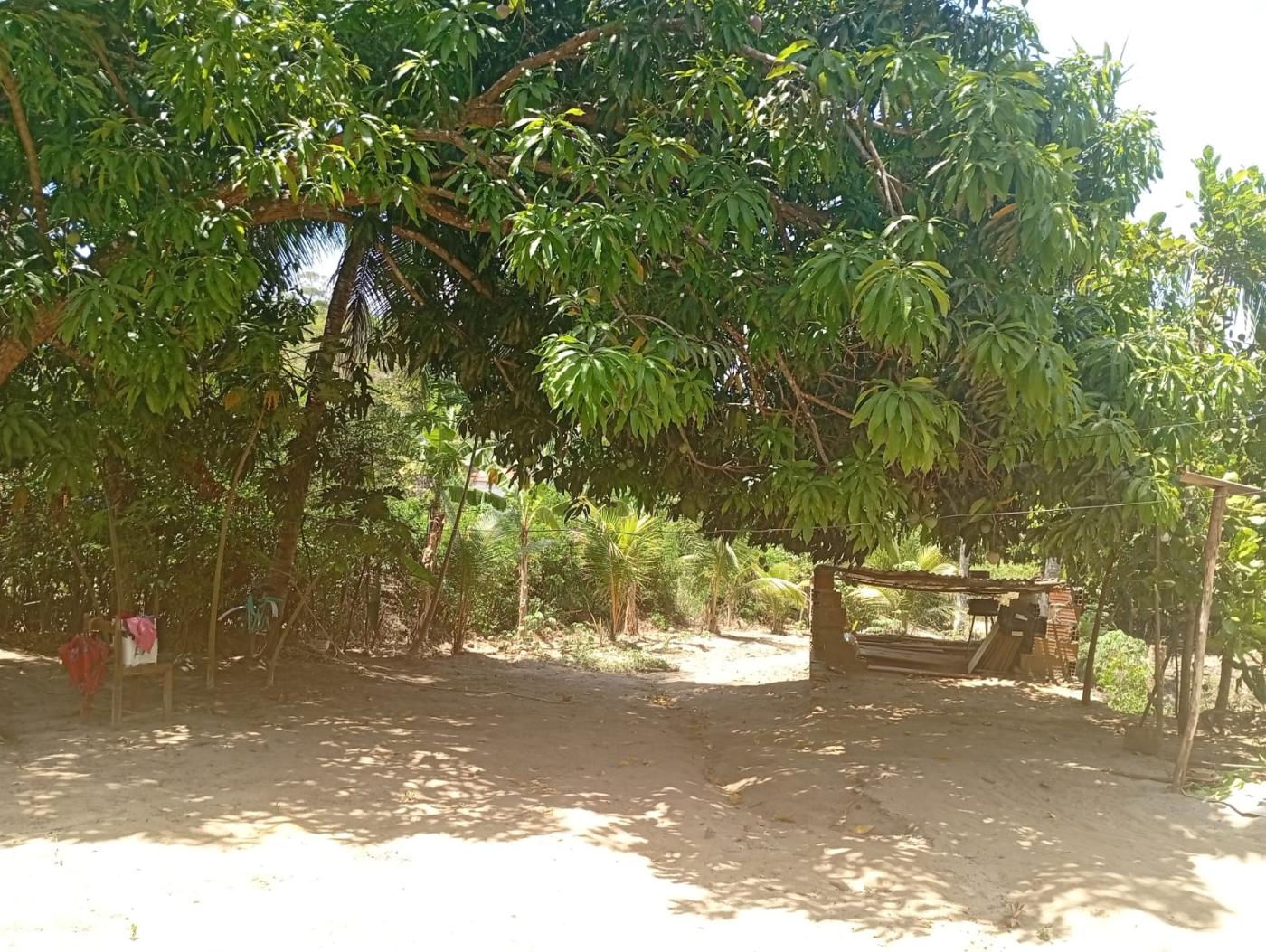 Terreno - Jauá (abrantes)