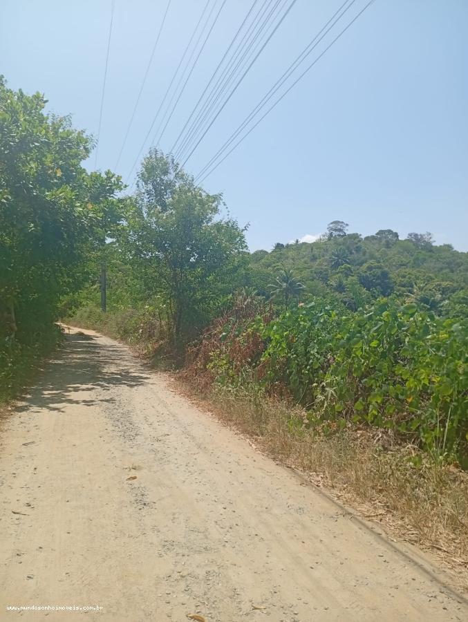 Terreno - Jauá (abrantes)