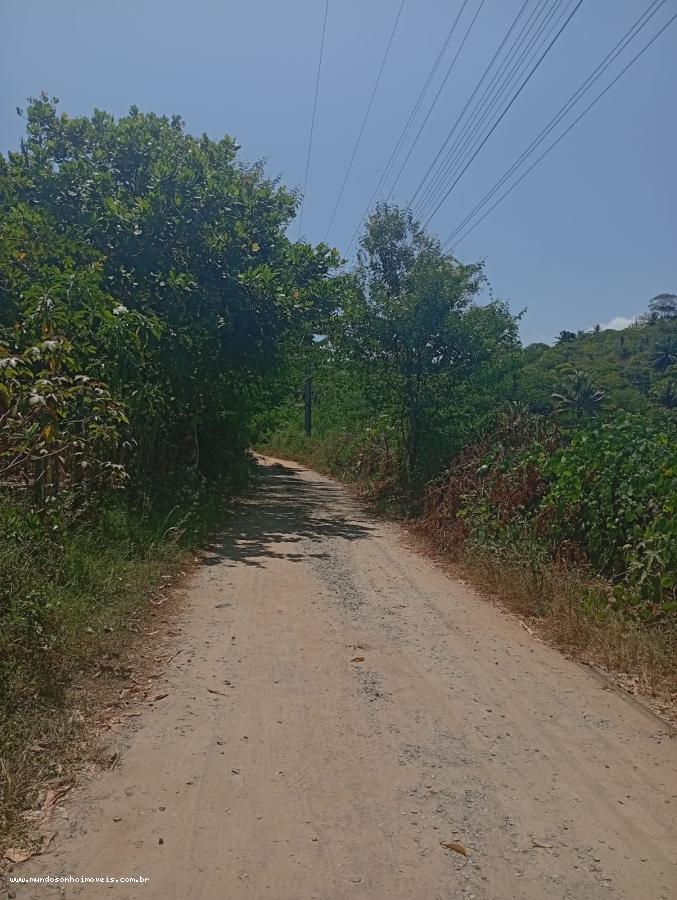 Terreno - Jauá (abrantes)