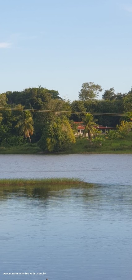 Terreno - Vargem grande