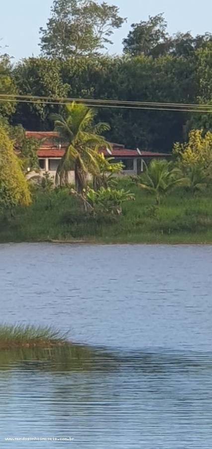 Terreno - Vargem grande
